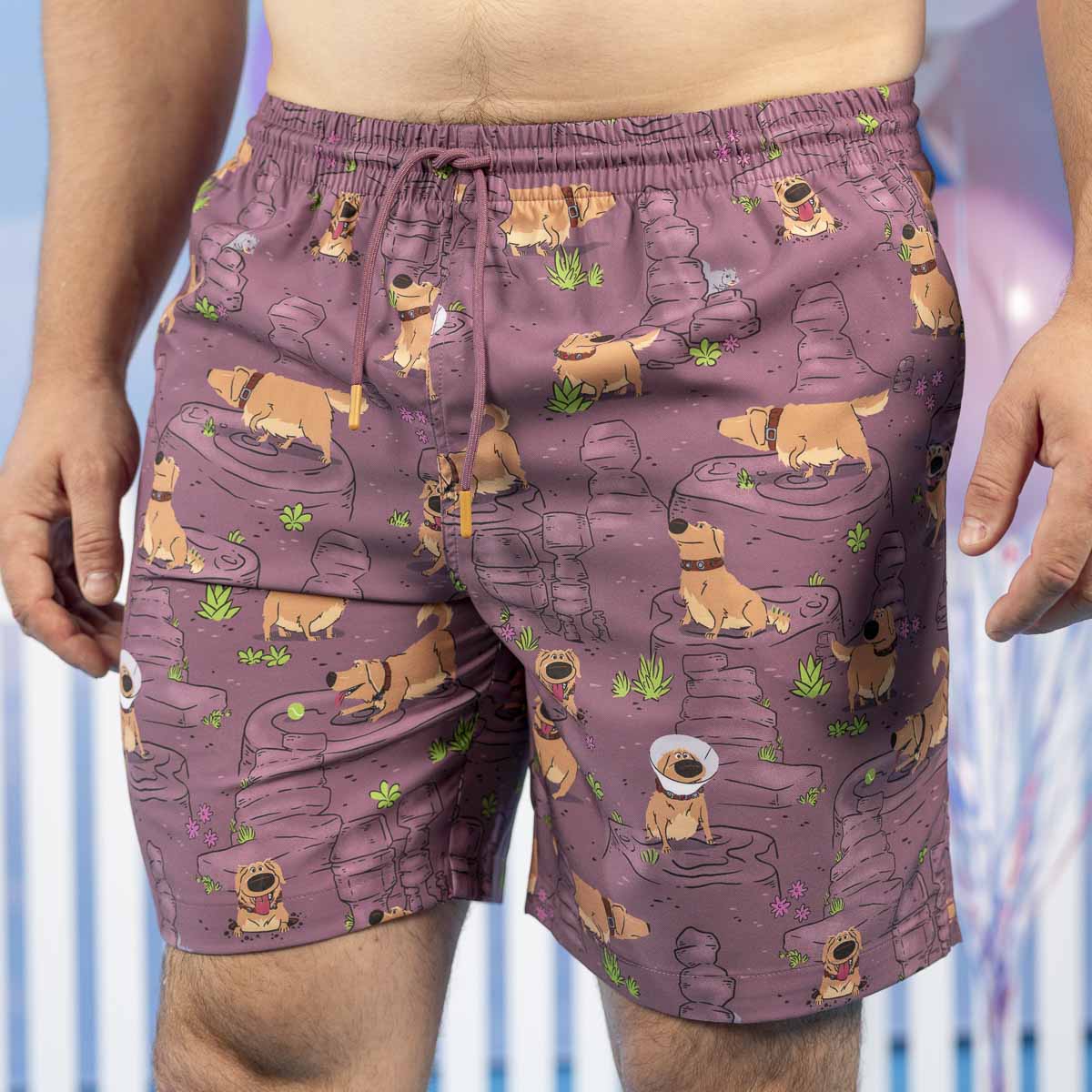 Disney and Pixar Up "My Name Is Dug" – Hybrid Shorts - Image 2