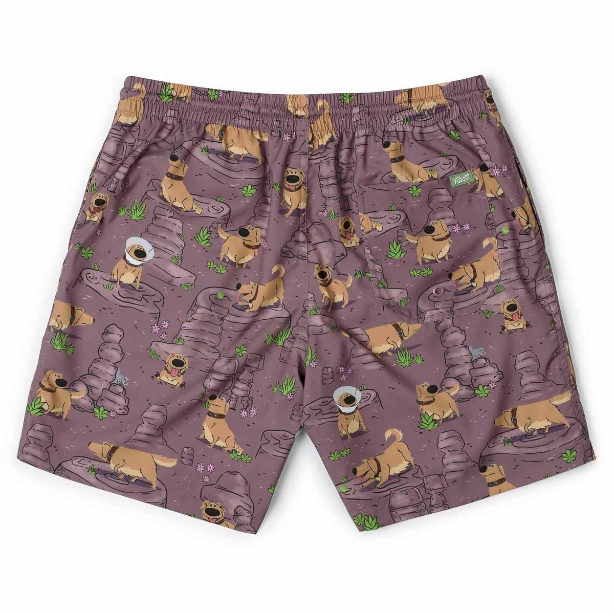 Disney and Pixar Up "My Name Is Dug" – Hybrid Shorts - Image 5